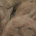 Dark Brown Roving Dark Brown Roving