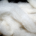 White Roving White Roving